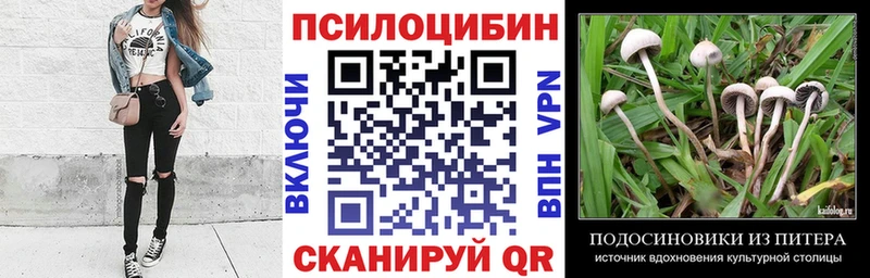 Псилоцибиновые грибы Magic Shrooms  кракен рабочий сайт  Переславль-Залесский  магазин продажи  
